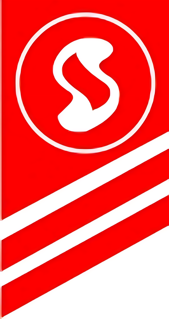 Selvasingh Department Store logo